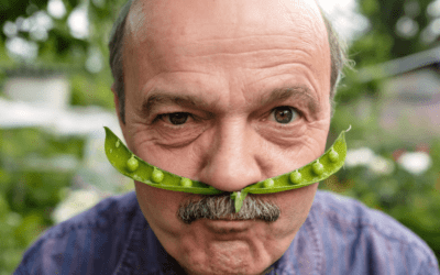 Gardening Together: Benefits of Gardening as Companionship acitivity